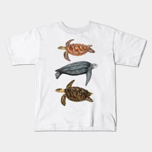 Sea turtles Loggerhead, leatherback and hawksbill turtles Kids T-Shirt